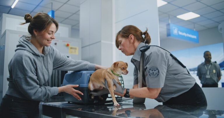 Airline pet carriers and TSA screening