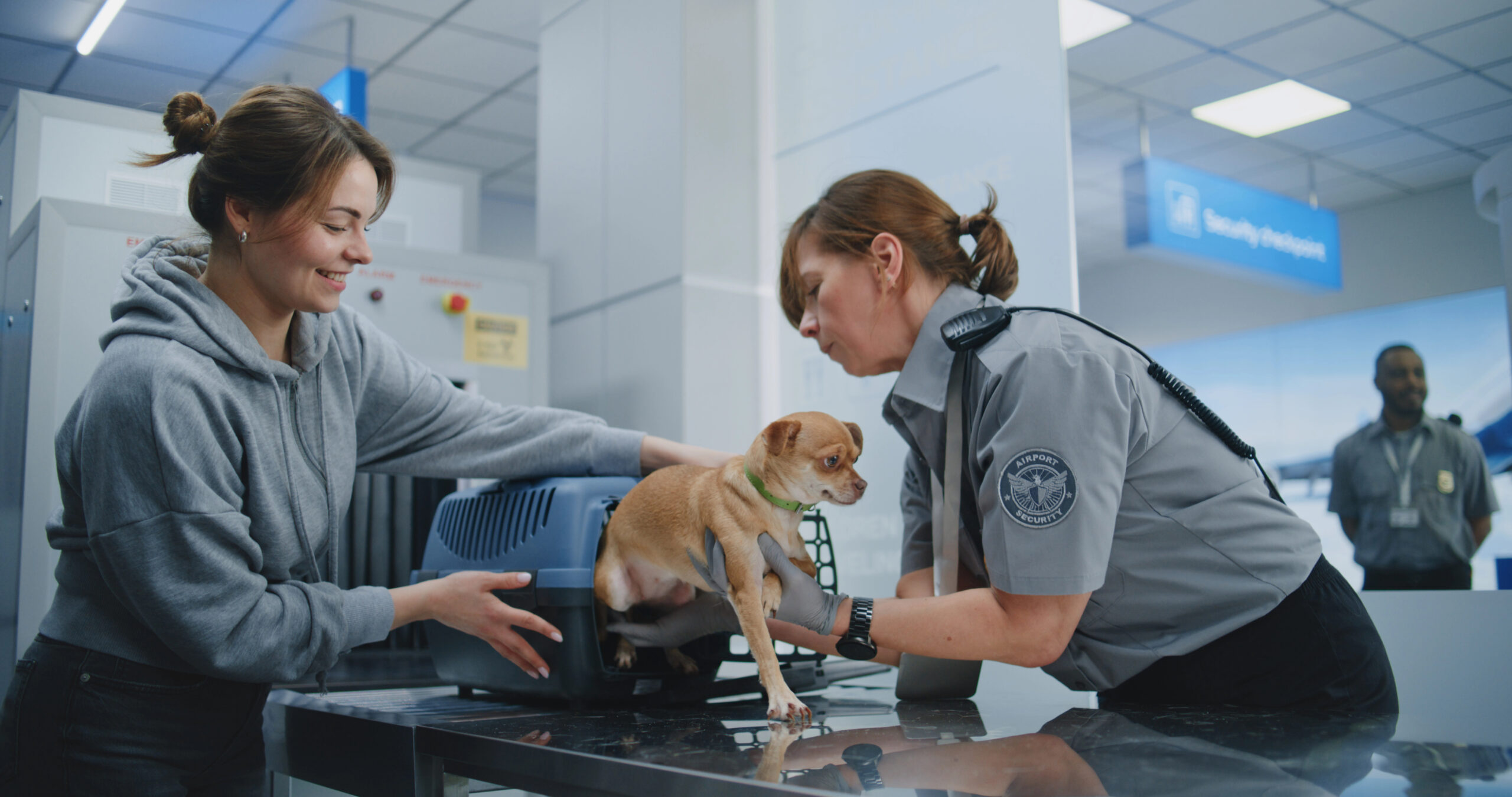 Airline pet carriers and TSA screening