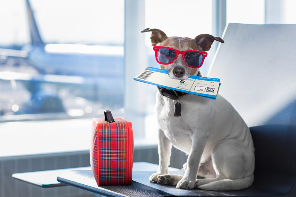 Pet Microchip - essential tech for Airport Security