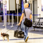 personalized pet essentials